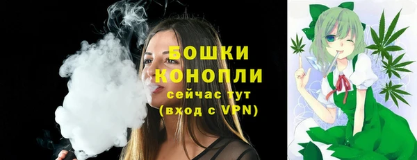 индика Переславль-Залесский
