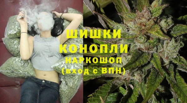 spice Алзамай